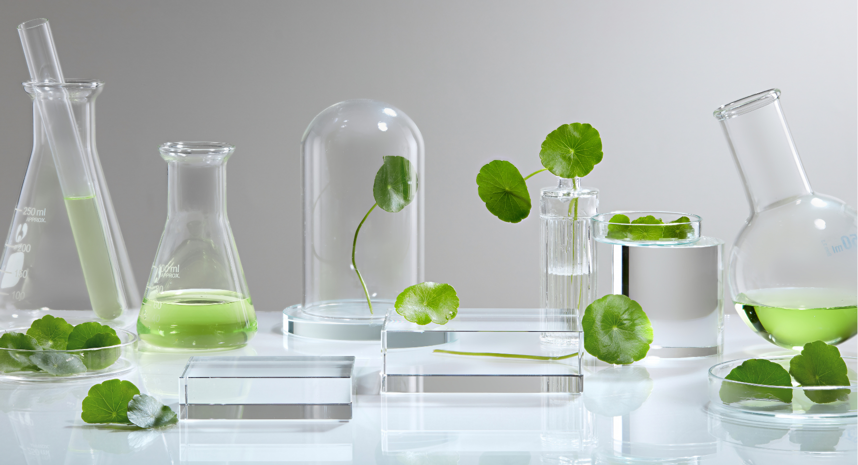 Phytowirkstoffe Blue Zones timeblock